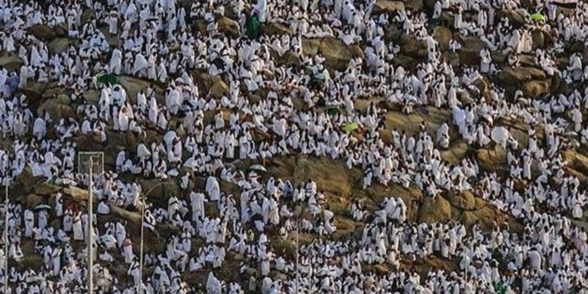 برنامج aspernatur